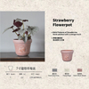 Strawberry Flowerpot