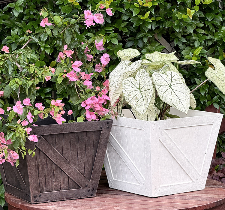Large Plastic Flower Pots