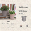 Sia Flowerpot
