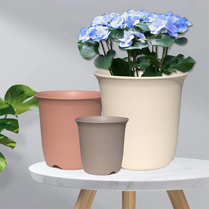 AW Flower Pot