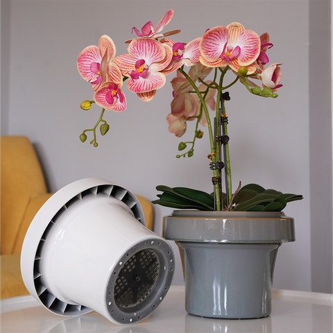 8-inch Cotta Flower Pot