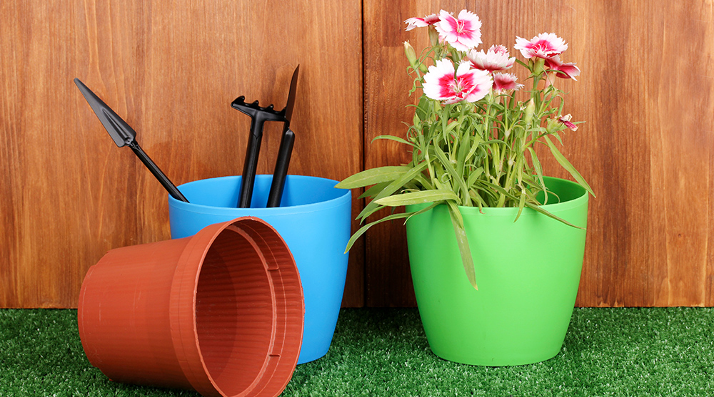 <span style="font-size:20px;"><strong>Customized Services</strong></span>