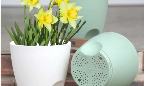 From Function To Aesthetics: The Design Evolution of Self-watering Pots in Modern Home Interiors