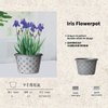 9-inch Iris Flowerpot
