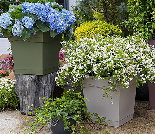 Plastic Flowerpot home solution 