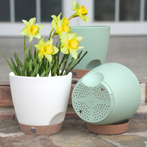 Ambo Self-Watering Planter