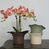 Le sevein Flowerpot