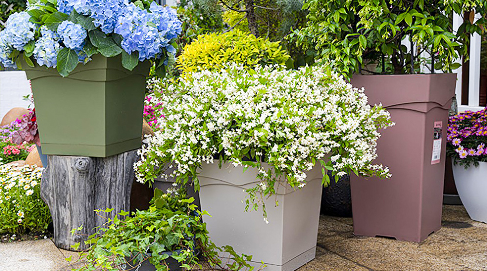  <span style="font-size:20px;"><strong>Plastic Flowerpot</strong></span> 