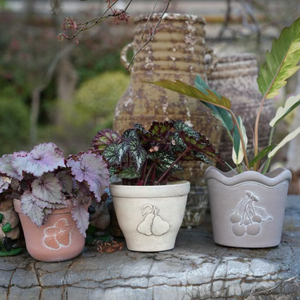 Cherry Flowerpot