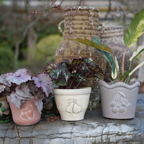 Cherry Flowerpot