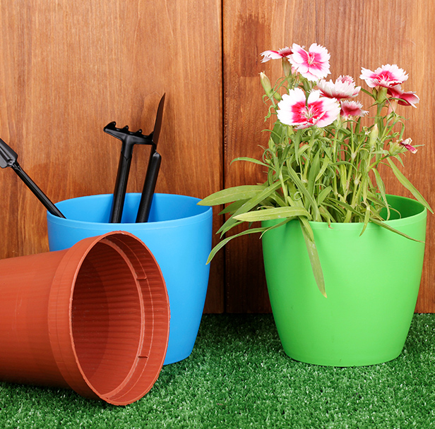 Grower Pots for Seedlings