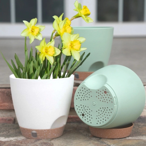 Self-Watering Pots: A High-Quality Solution for Effortless Plant Care