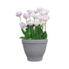 Lorne Flowerpot