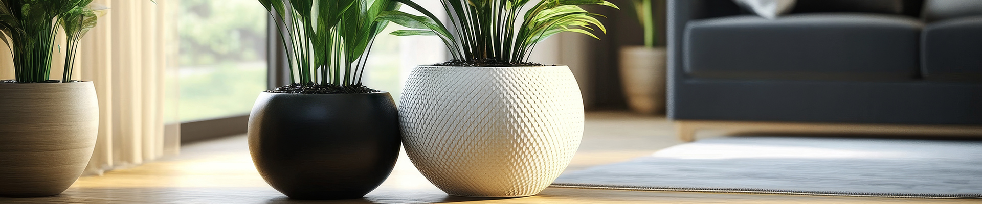 insights on the latest pot trends