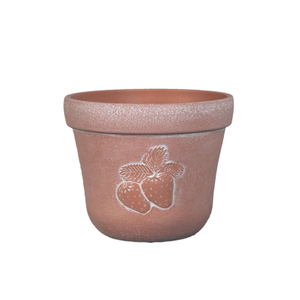 Strawberry Flowerpot