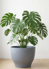 Hexing Round Pot 250 Vintage Terracotta Indoor Outdoor Planter