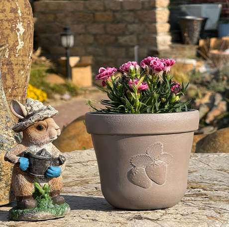 Plastic Flower Pots16.png