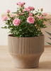 Yuxuan Pot 290 Blue Vertical Texture Indoor Outdoor Planter