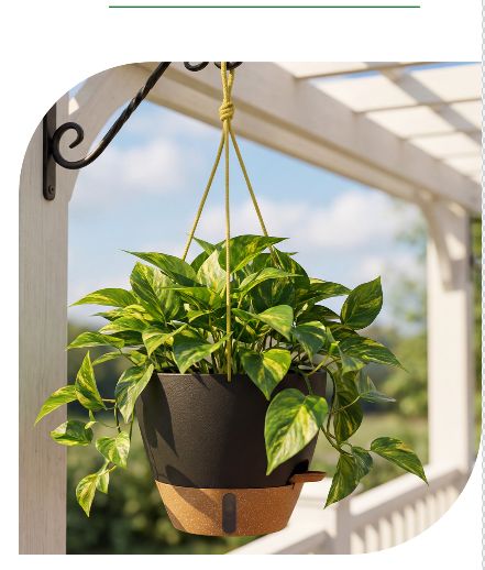 Hanging Plastic Flower Pots: Best Uses For Balconies, Patios, And Indoor Plants