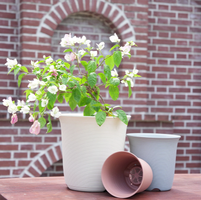 Can I Keep My Plant in The Grower Pot​