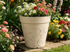  8 IN Future Ceramic pot 