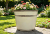  8 IN dumpy pot