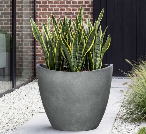16" Moon Pot Walnut Indoor Outdoor Decorative Planter