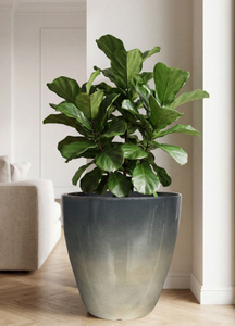 Kmart Egg Pot Mist Gray Celadon Ceramic-Look Decorative Planter