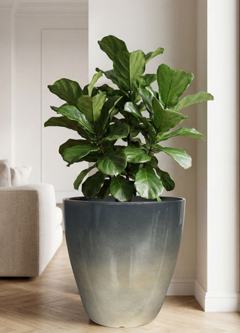 Kmart Egg Pot Mist Gray Celadon Ceramic-Look Decorative Planter