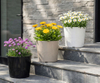 Haiwei Ribbed Planter