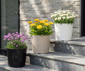 Haiwei Ribbed Planter