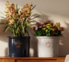14.8" Clorie Garden Cylinder Pot Dark Black Indoor Outdoor Decorative Planter