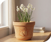 7" Cota Strawberry Pot Ivory Embossed Indoor Outdoor Planter
