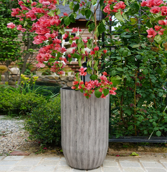 Plastic Flower Pots11.png