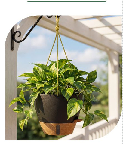 12" Anbo Round Hanging Pot White Indoor Outdoor Planter