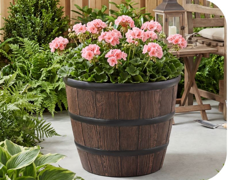 wooden Barrel planter