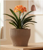Heyue Round Pot 218 Natural Waist Vertical Texture Planter