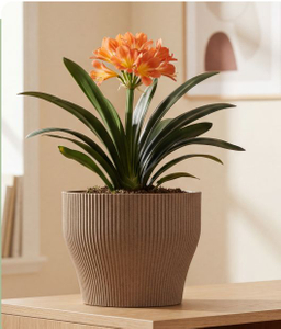 Heyue Round Pot 218 Natural Waist Vertical Texture Planter