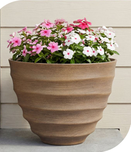 wave round pot
