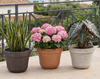 10" Buli Pot Terracotta Embossed Indoor Outdoor Planter