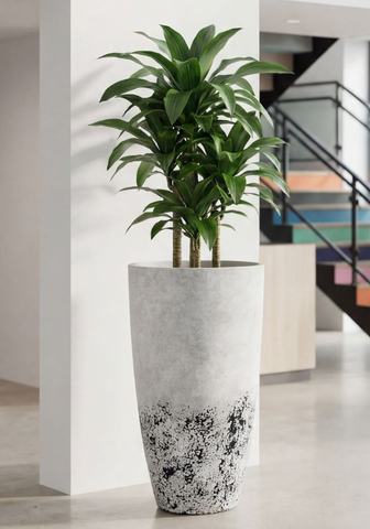 tall round pot