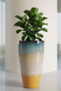 10.8" 12"14"Tall Round Rim Planter