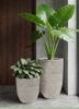 blow-mold pot