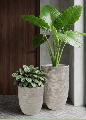 blow-mold pot