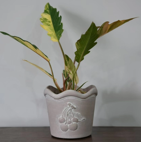 Plastic Flower Pots6.png