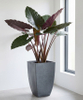 12" Target Arc-Edge Planter