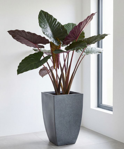12" Target Arc-Edge Planter