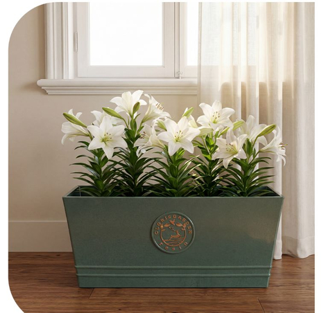 24" Clorie Long Trough Red Indoor Outdoor Decorative Planter