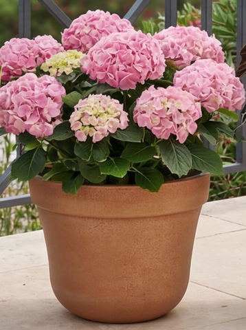 10" Buli Pot Terracotta Embossed Indoor Outdoor Planter