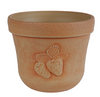 7" Cota Strawberry Pot Ivory Embossed Indoor Outdoor Planter